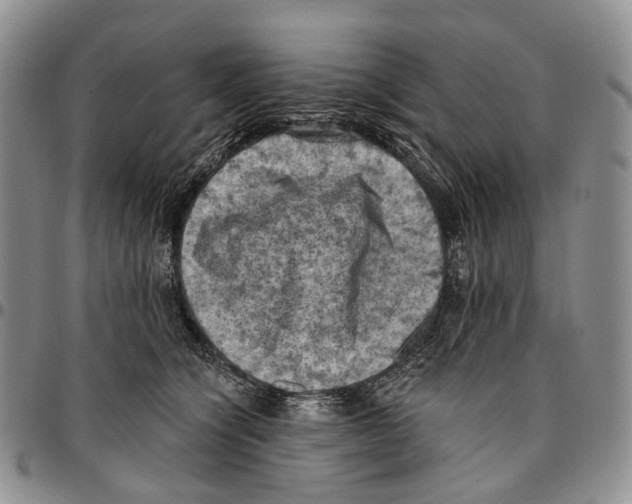 X0000096680564200803041242