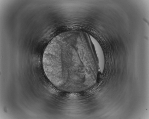 X0000096680566200803041243