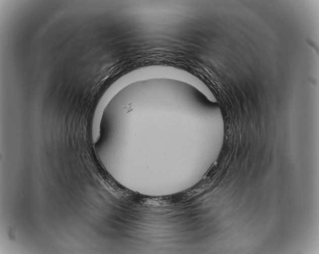 X0000096680568200803041243