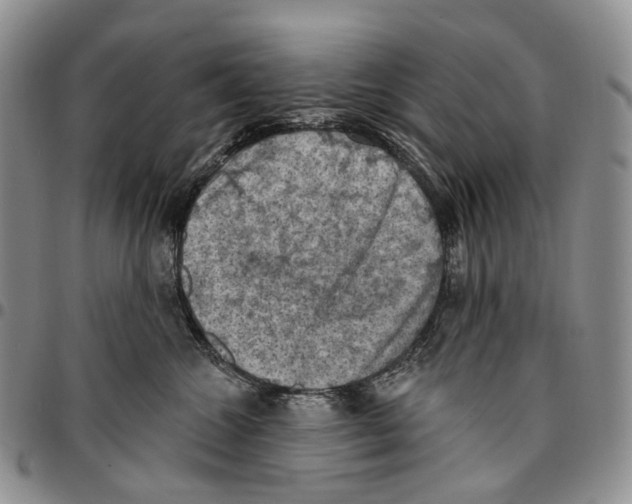 X0000096680572200803041243