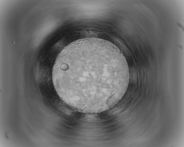 X0000096680573200803041243