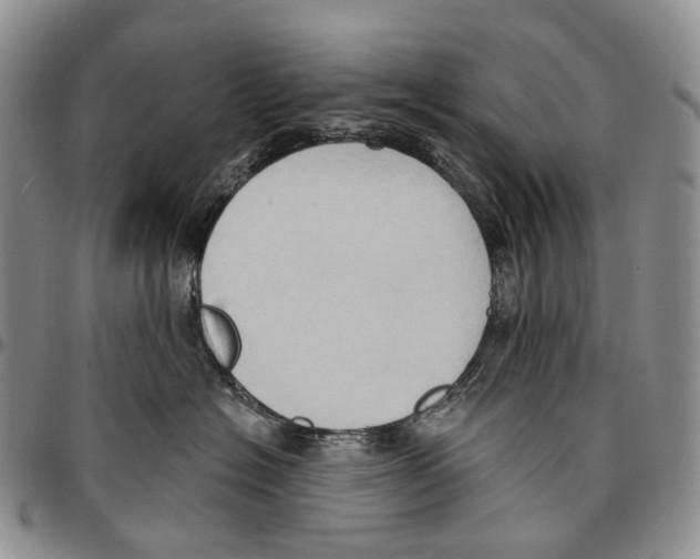 X0000096680574200803041243