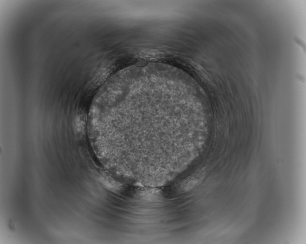 X0000096680576200803041243