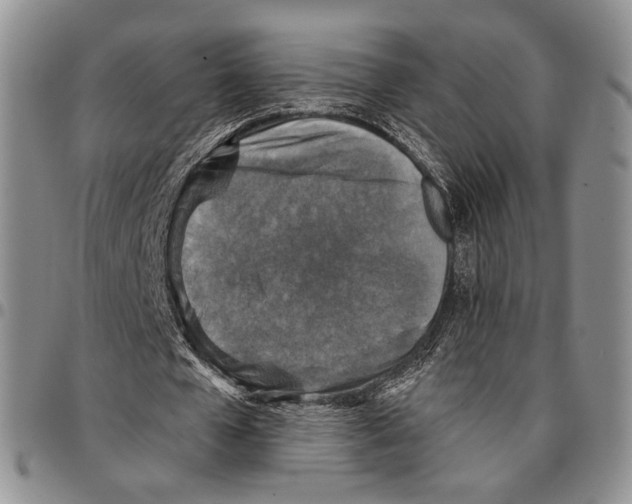 X0000096680577200803041242