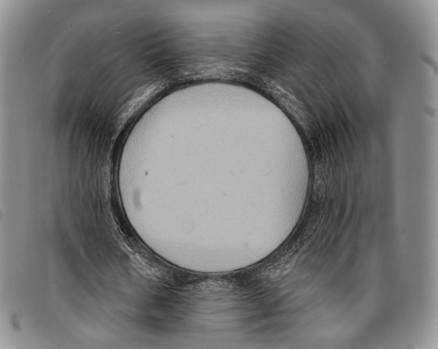 X0000096680578200803041242