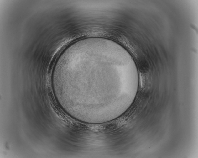 X0000096680579200803041242