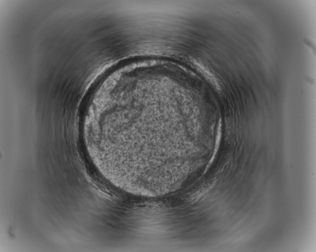 X0000096680580200803041242