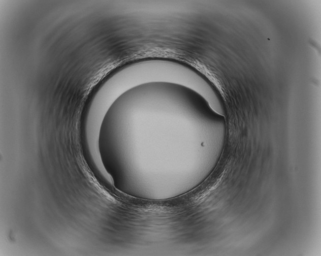 X0000096680581200803041242