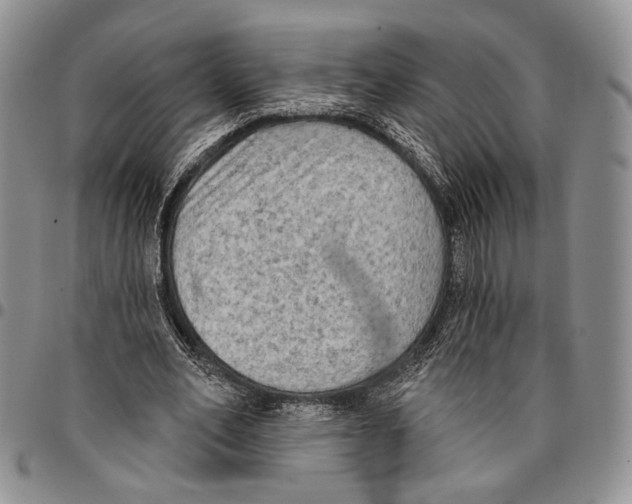 X0000096680582200803041242
