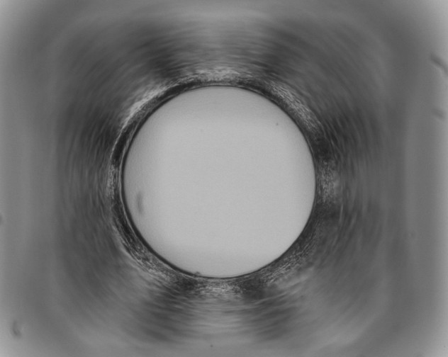 X0000096680583200803041242