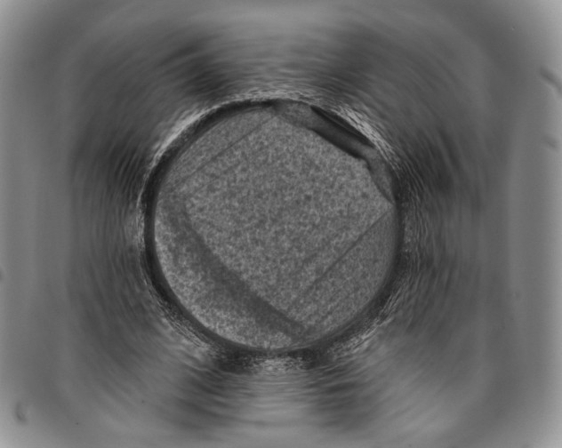 X0000096680584200803041242