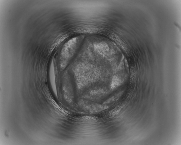 X0000096680585200803041242