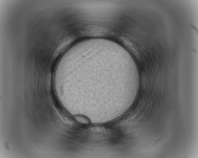 X0000096680586200803041242