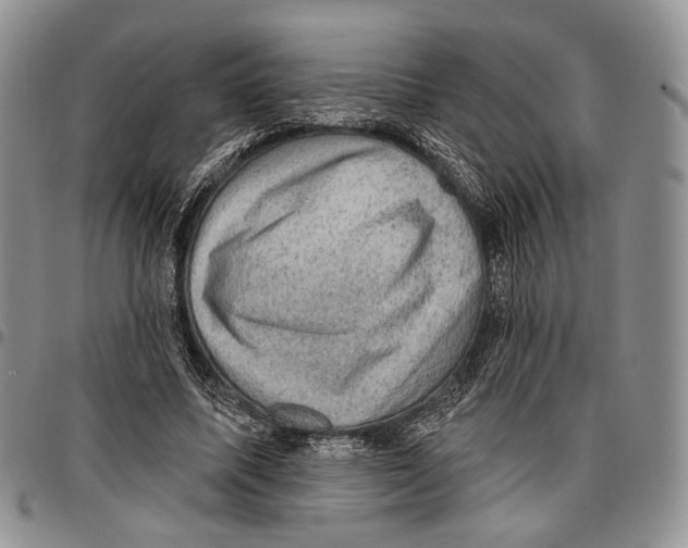 X0000096680587200803041242