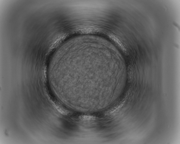X0000096680590200803041242