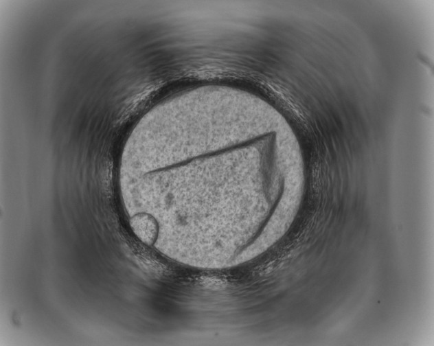 X0000096680592200803041242