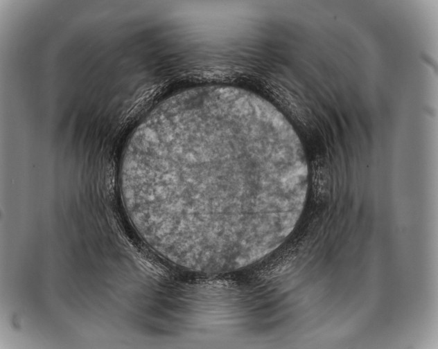 X0000096680593200803041242