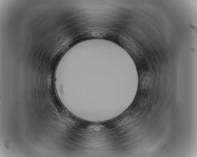 X0000096680595200803041242