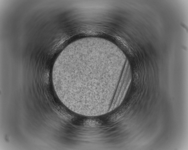 X0000096680596200803041242