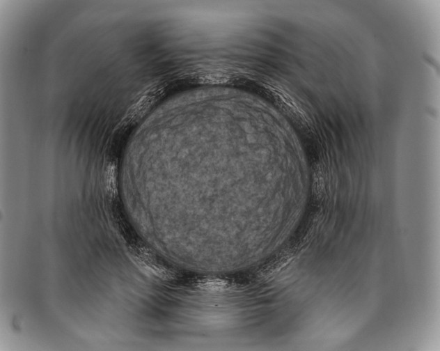 X0000096680598200803041242