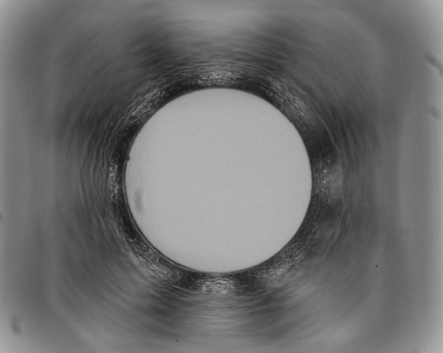 X0000096680599200803041242