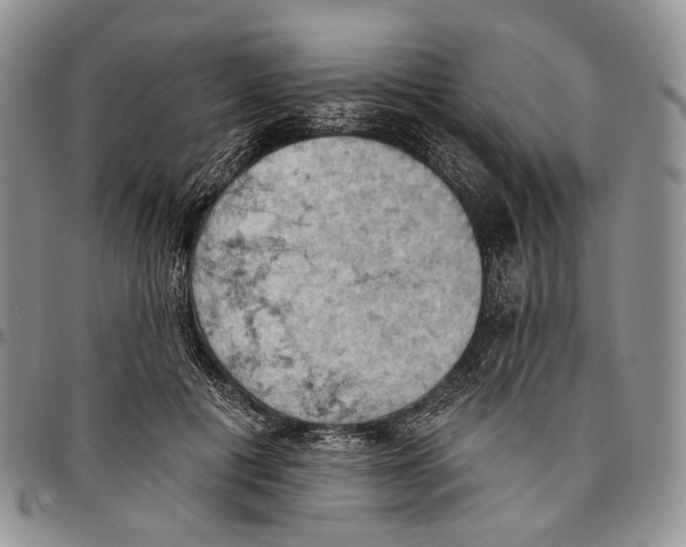 X0000096680601200803041242