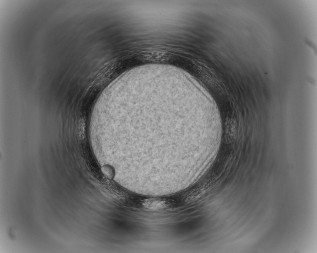 X0000096680602200803041242