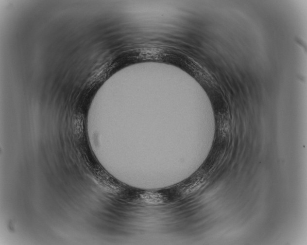 X0000096680603200803041242