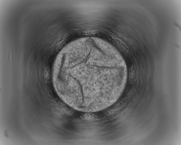 X0000096680608200803041242
