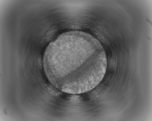 X0000096680609200803041242