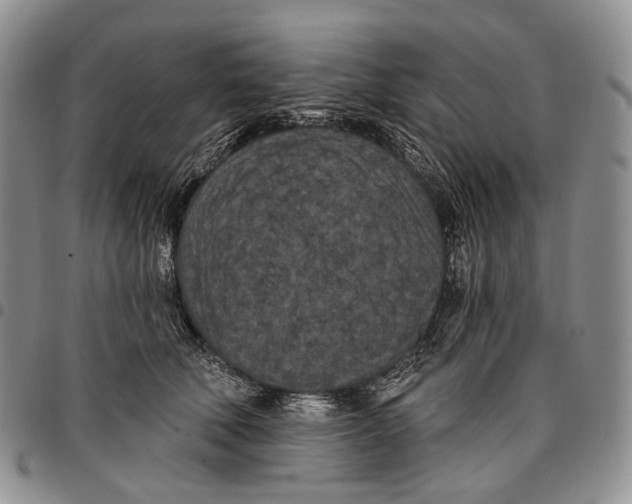 X0000096680610200803041242