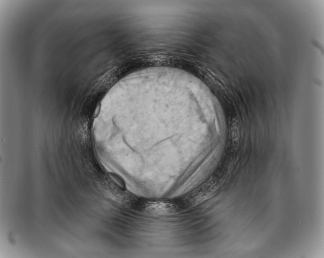X0000096680611200803041242