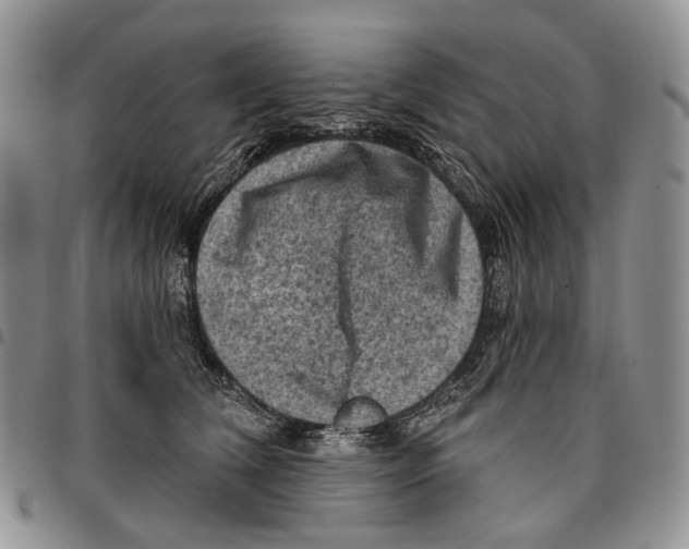 X0000096680612200803041242