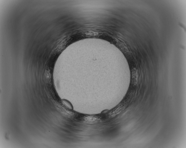 X0000096680614200803041242