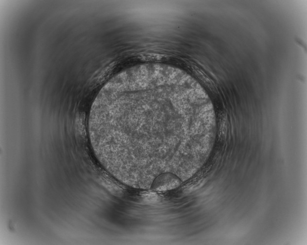 X0000096680616200803041242