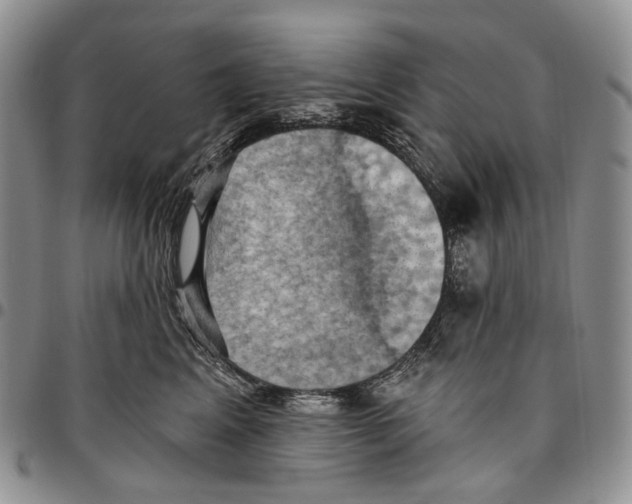 X0000096680617200803041242