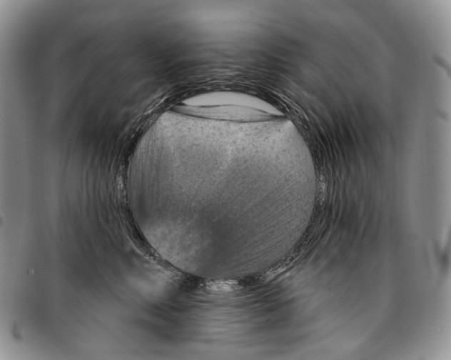 X0000096680618200803041242
