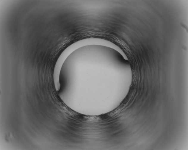X0000096680621200803041242