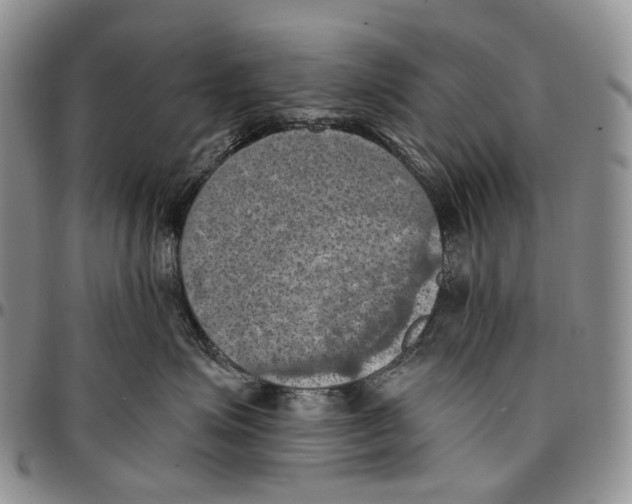 X0000096680623200803041242