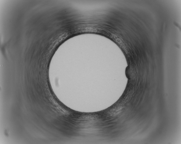 X0000096680625200803041241