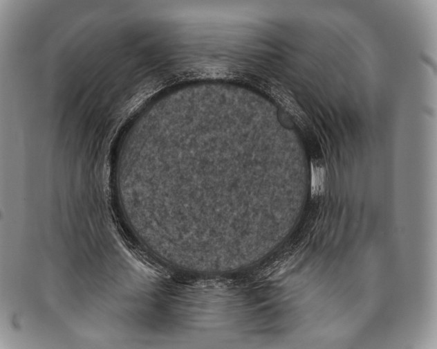 X0000096680627200803041241