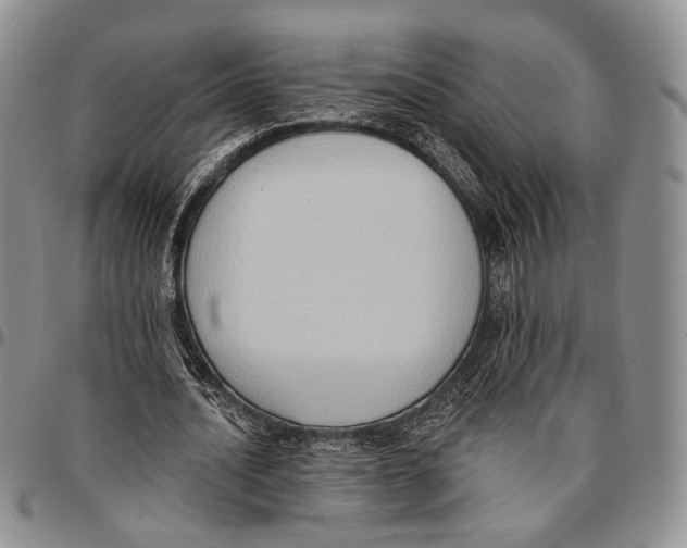X0000096680628200803041241