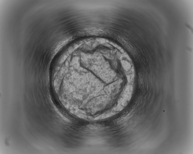X0000096680630200803041241
