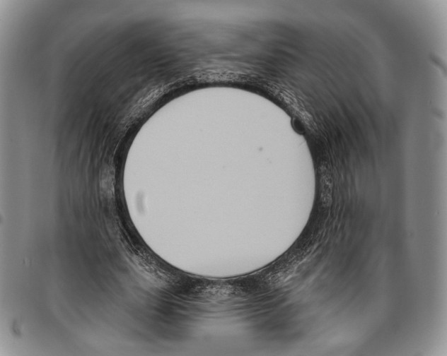 X0000096680631200803041241