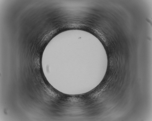X0000096680633200803041241