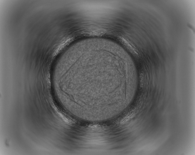 X0000096680634200803041241