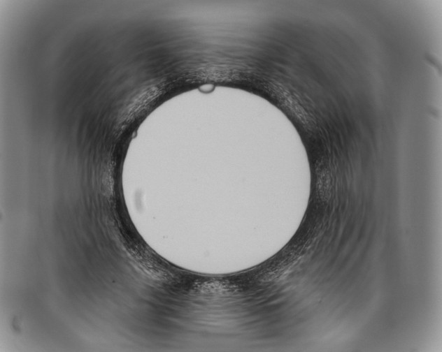 X0000096680635200803041241