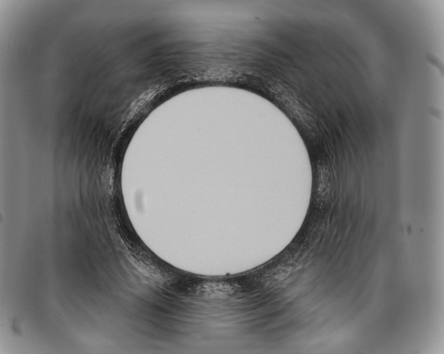 X0000096680636200803041241