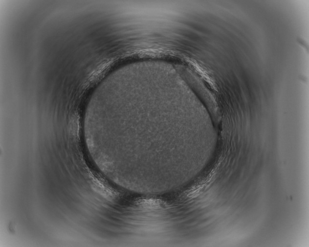 X0000096680637200803041241