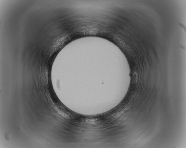 X0000096680638200803041241